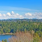 The property rests directly across from the peninsula of Seward Park. Views of towering woodlands against the backdrop of the Cascade mountains are a beautiful way to begin and end every day.