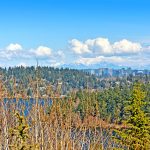 The skyline of the city of Bellevue under the foothills of the Cascades serves to remind that this slice of heaven is just minutes away from everything a city-dweller needs.
